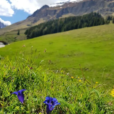 Wandspitz Apartman